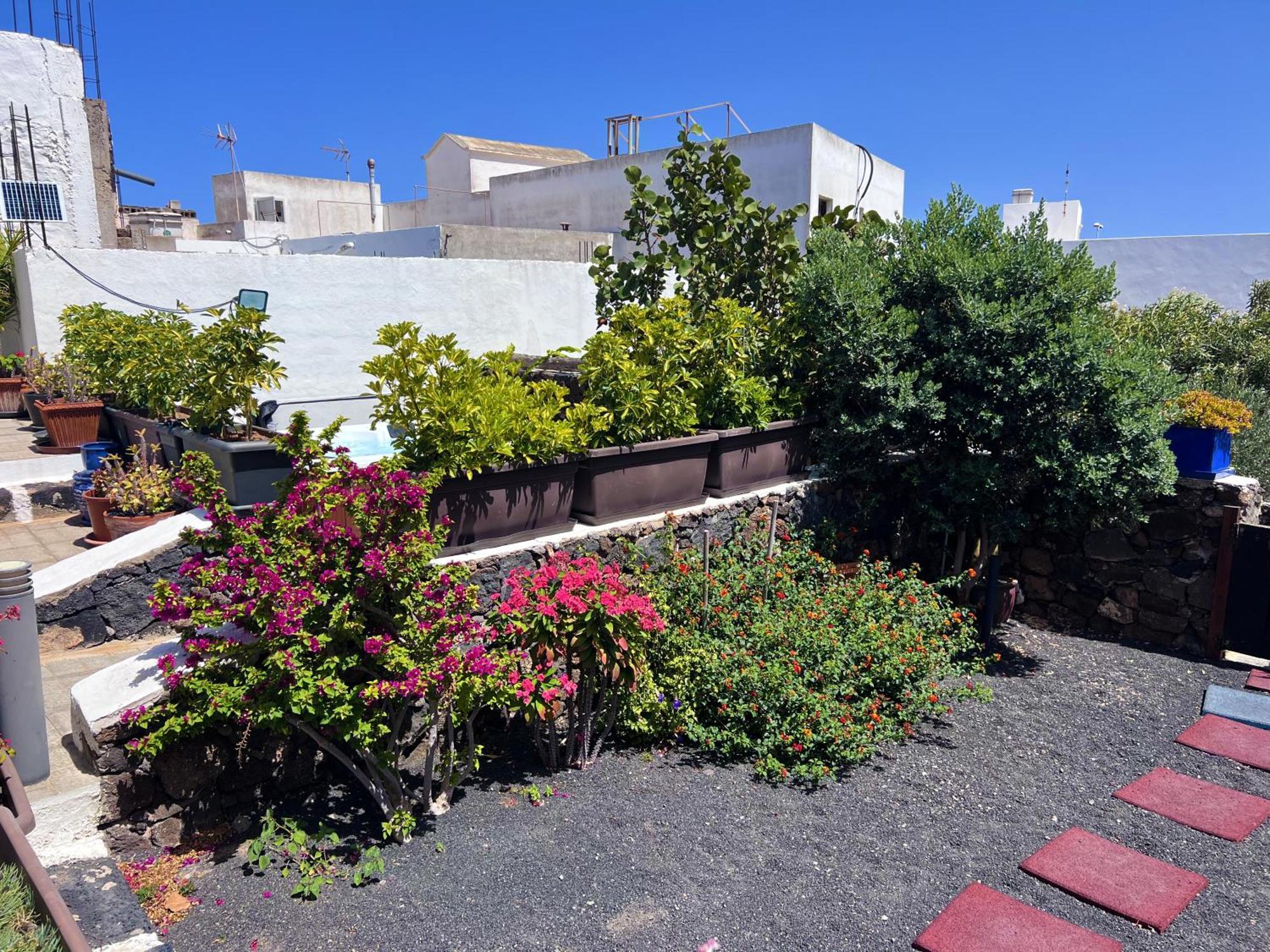 San Bartolomé Casa Rural Estilo Canarioヴィラ エクステリア 写真